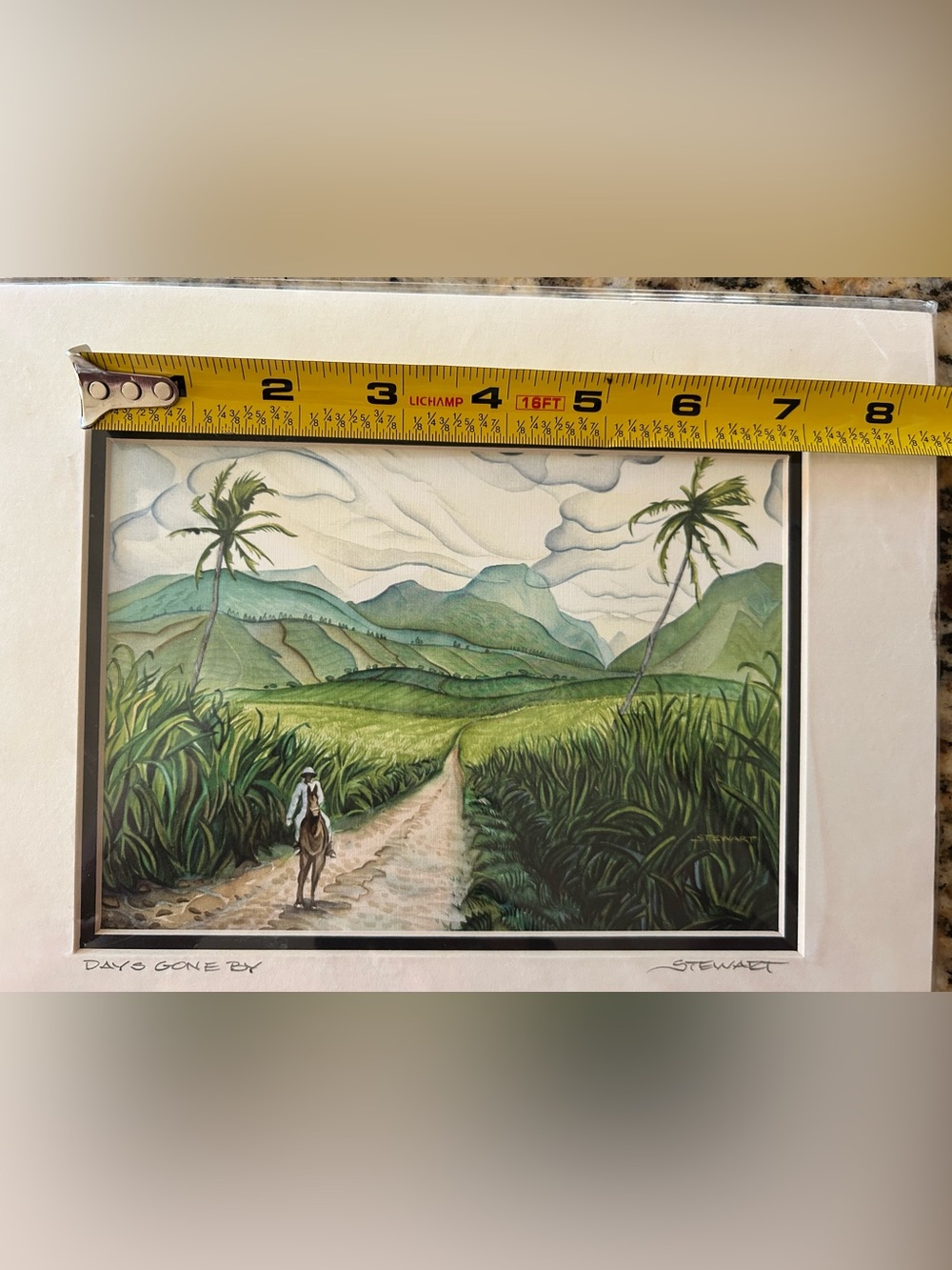 Signed Hawaiian Tropical Watercolor Wall Art - Picture 4 of 10